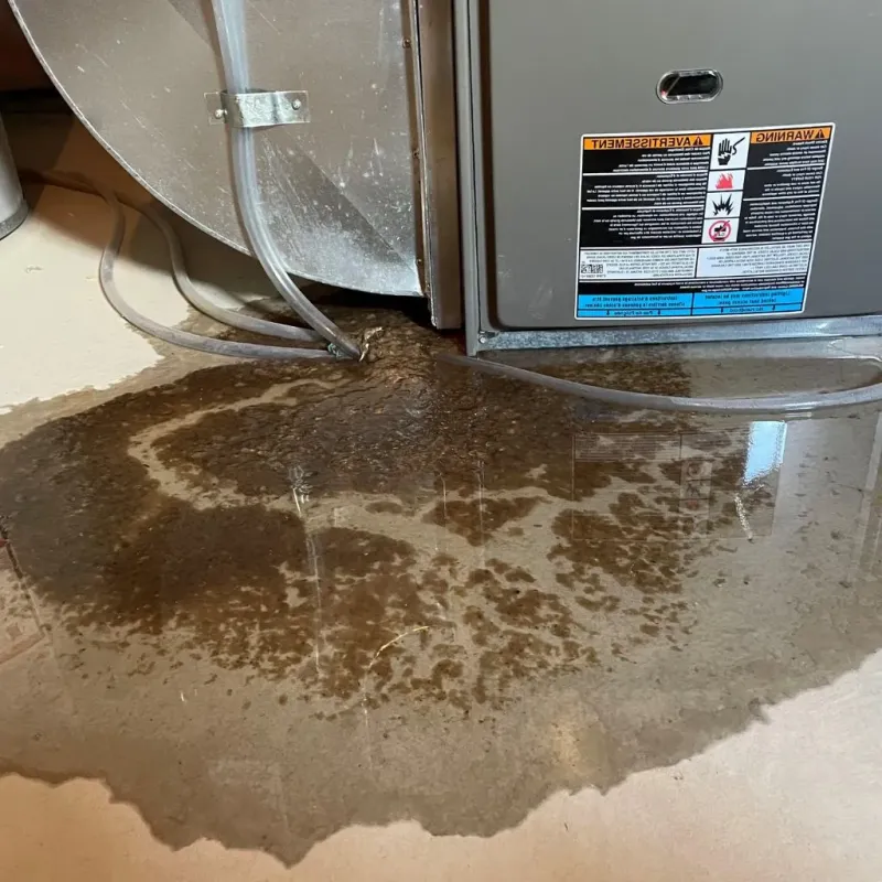 Pipe Burst and Leak Restoration in Hiram, OH