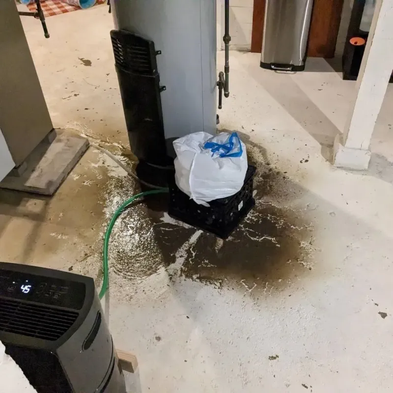 Sewage Backup Cleanup Service in Hiram, OH